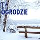 Ogród w lutym: bielenie drzew owocowych, przygotowania do nowego sezonu Ogród w lutym: bielenie drzew owocowych, przygotowania do nowego sezonu